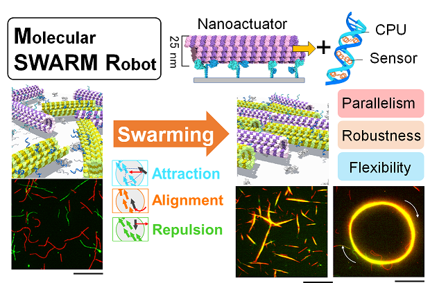 Let the robot swarms begin!