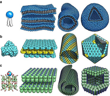 Progress in self-assembling nanomaterials