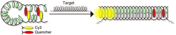 Shining light on disease