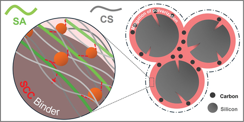 Sustainable and robust biomass-based binder for silicon anodes in lithium-ion batteries: cross-linked sodium alginate and chondroitin sulfate