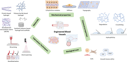 Biofabrication of engineered blood vessels for biomedical applications