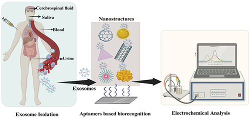 Nanoarchitectonics-based electrochemical aptasensors for highly efficient exosome detection