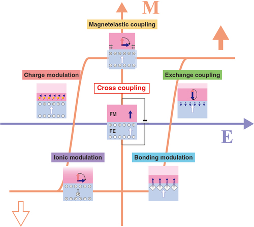 Artificial multiferroic heterostructures—electric field effects and their perspectives