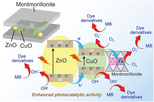 Enhancement of photocatalytic efficiency of copper oxide/zinc oxide-montmorillonite photocatalyst under visible light irradiation