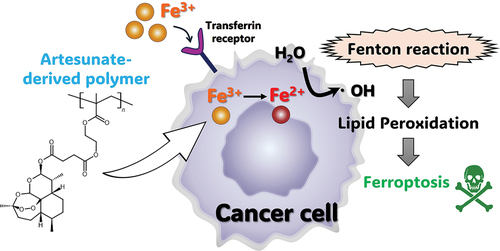 Poly(ARTEMA), a novel artesunate-based polymer induces ferroptosis in breast cancer cells