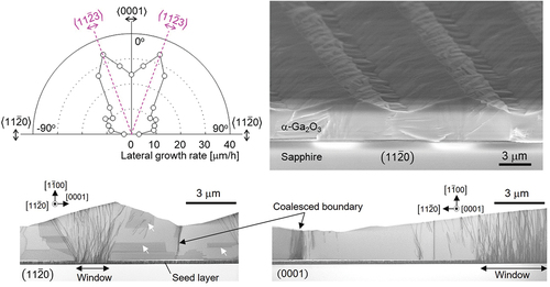 Epitaxial lateral overgrowth of m-plane α-Ga2O3 by halide vapor phase epitaxy