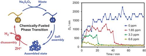 Chemically-fueled phase transition of a redox-responsive polymer