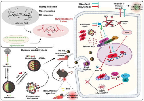 Macrophage targeting precision nanomedicine utilizing ROS-responsive metallozyme-loaded nanomicelle for enhanced treatment of gout-induced inflammation