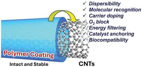 Functional carbon materials: effects and role of polymer-coating on carbon nanotubes