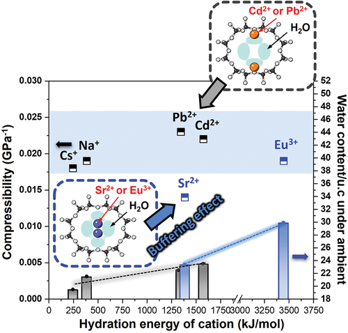 Hydration-level-driven buffering effects on the compressibility of ion-exchanged mordenite
