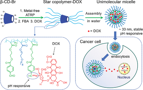 DOX-conjugated unimolecular micelles from benzaldehyde-functionalized star copolymer via metal-free ATRP for pH-responsive drug delivery